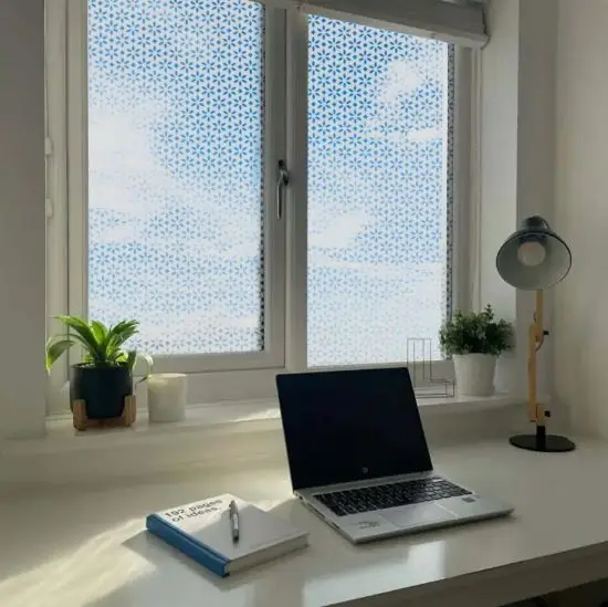Flower head patterned frosted window film installed onto an office window