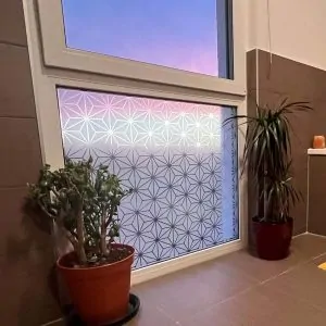 Sample of Sally Patterned Window Film