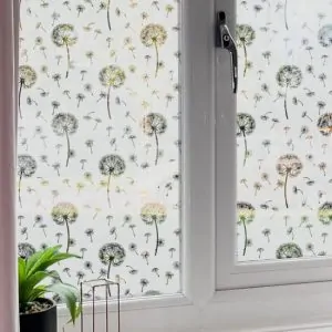 dandelion seed frosted window film installed onto a window
