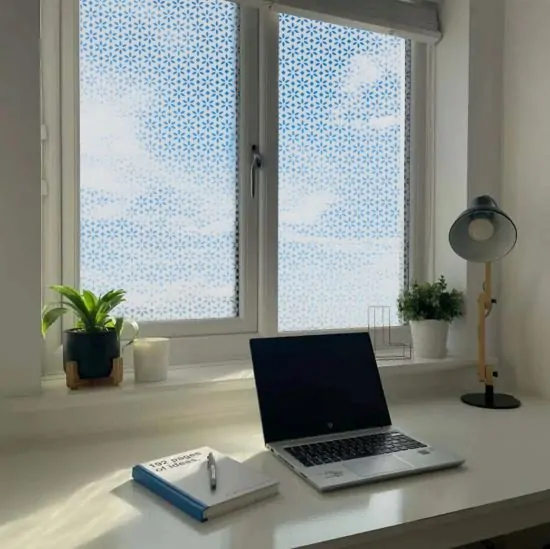 Flower head patterned frosted window film installed onto an office window
